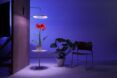 A light ring hovering above a plant on a table