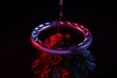 A red and blue glow from a light room hovering above a plant