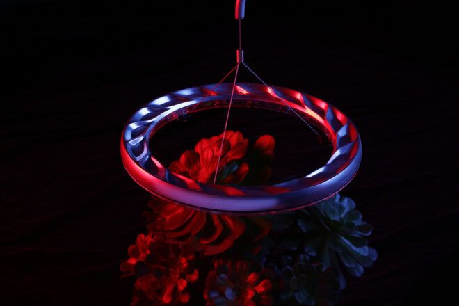 A red and blue glow from a light room hovering above a plant