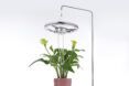 A shower looking device above a potted plant