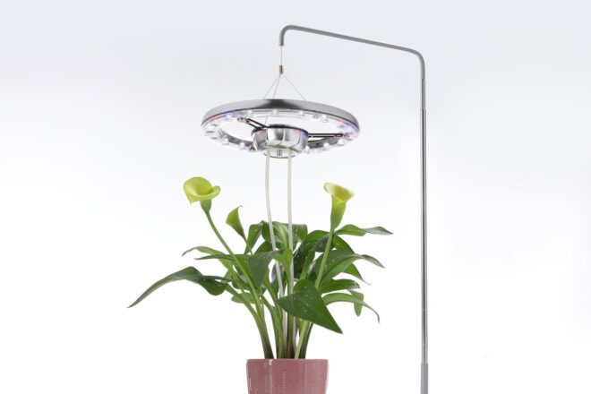 A shower looking device above a potted plant