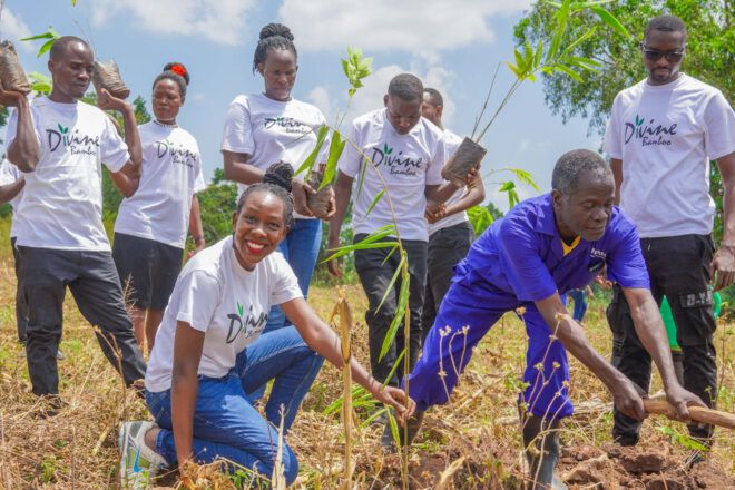 Group of individuals wearing white tshirts that say "Divine Bamboo" planting bamboo seedlings
