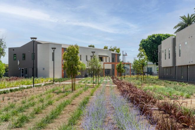 Neatly-planted landscaping in irregular shaped plots, nestled between buildings
