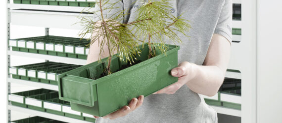 A hand holding a pine tree sitting in a green bin