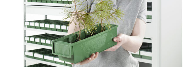 A hand holding a pine tree sitting in a green bin