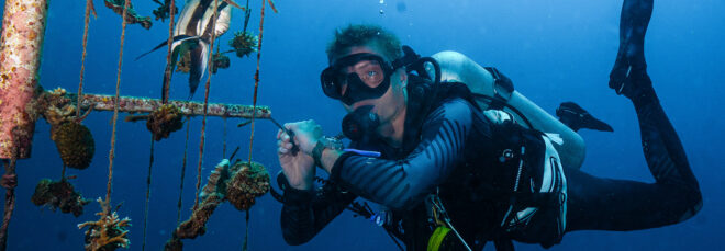 A scuba diver underwater