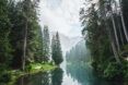 A lake with forests on either side