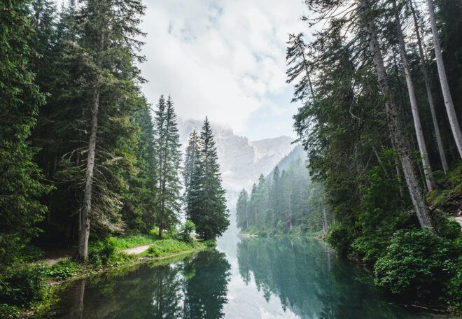 A lake with forests on either side