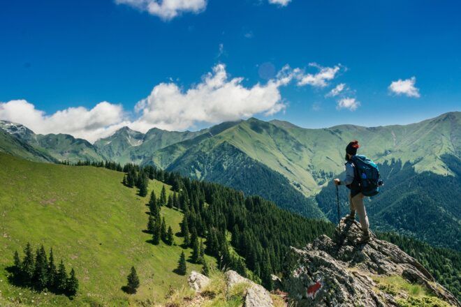 A person standing on a hill looking out toward a forest area