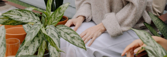 A person standing behind a snake plant