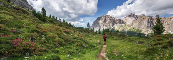 A green area with a dirt pathway leading to a mountain range