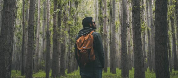 A man wearing a yellow backpack standing in a forest