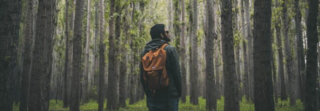 A man wearing a yellow backpack standing in a forest