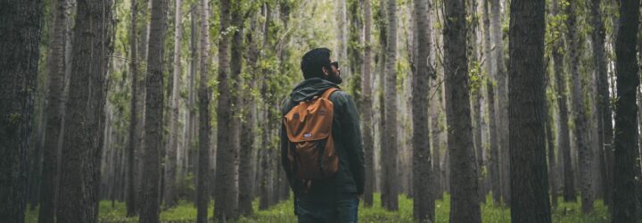 A man wearing a yellow backpack standing in a forest