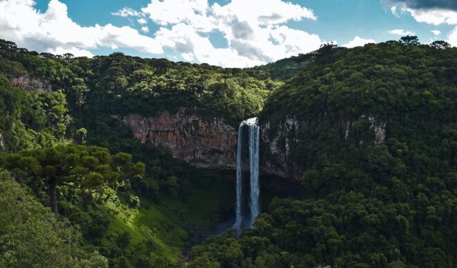 A water fall surrounded by a forested area