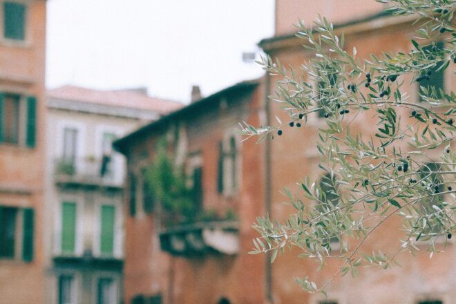Urban apartments with trees.