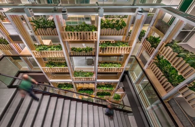 Stairs next to a wall of plants and greenery