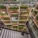 Stairs next to a wall of plants and greenery