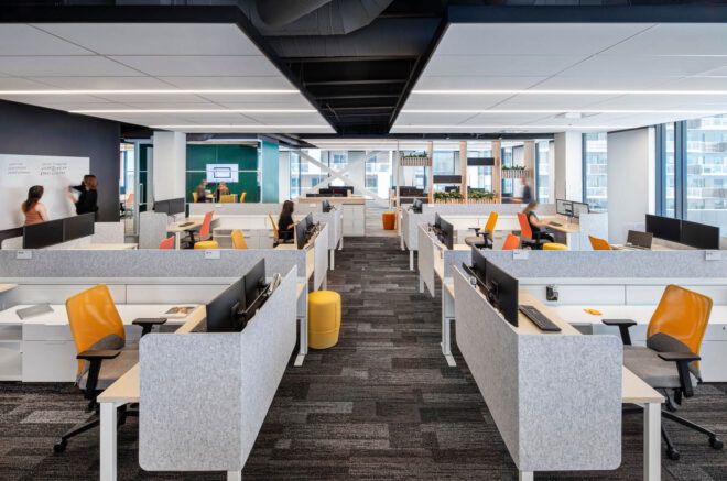 White office cubicles and natural light