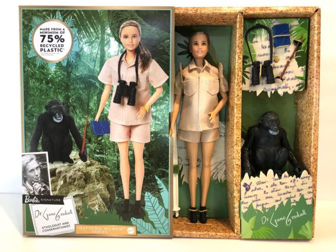 The Dr. Jane Goodall Barbie and chimp in its box