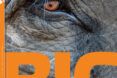 A photography book that is titled BIG with an eye of an elephant on it