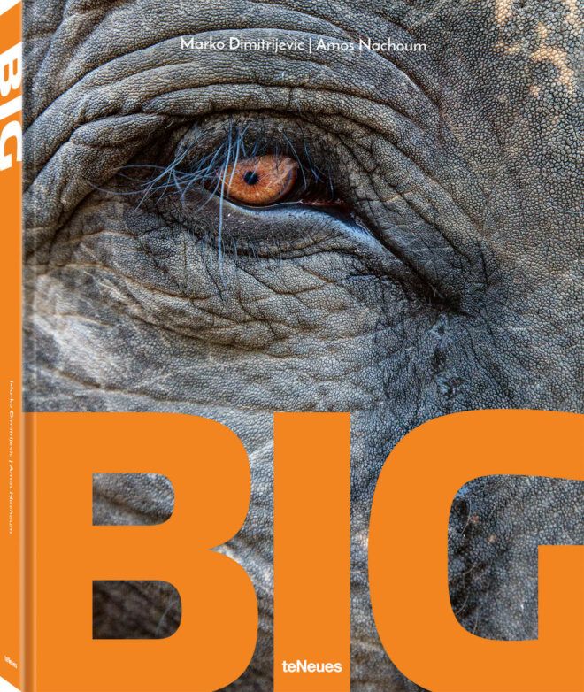 A photography book that is titled BIG with an eye of an elephant on it