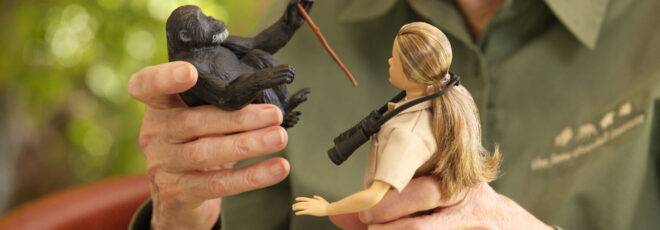 Dr. Jane Goodall holding her lookalike doll and chimp