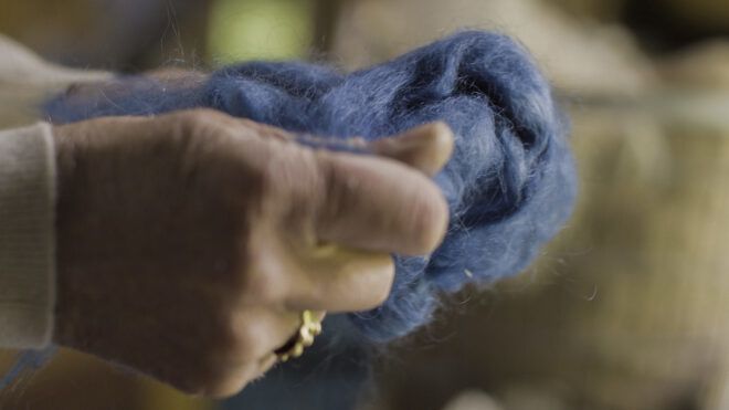 Wool from the sheep dyed blue.