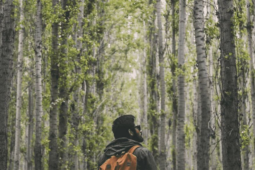 A man wearing a yellow backpack standing in a forest