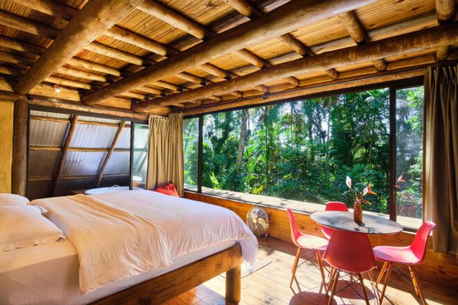 A bedroom with an open window out to a forest