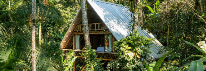 A bamboo triangle-roof house