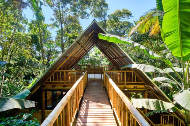 A bridge leading to a bamboo house