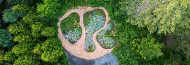 1,200 earthenware rings on the ground
