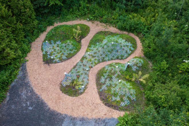 Earthenware rings on grass surrounded by trees