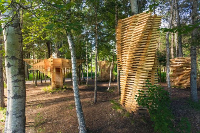 Pallet-shaped wood winding up trees