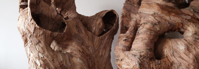 Close view of the barkitecture design