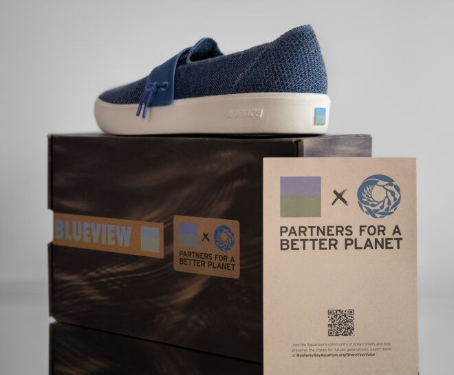A single blue sneaker sits on a cardboard box