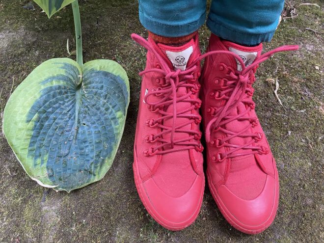 Feet of a person wearing red sneakers standing next to a large leaf