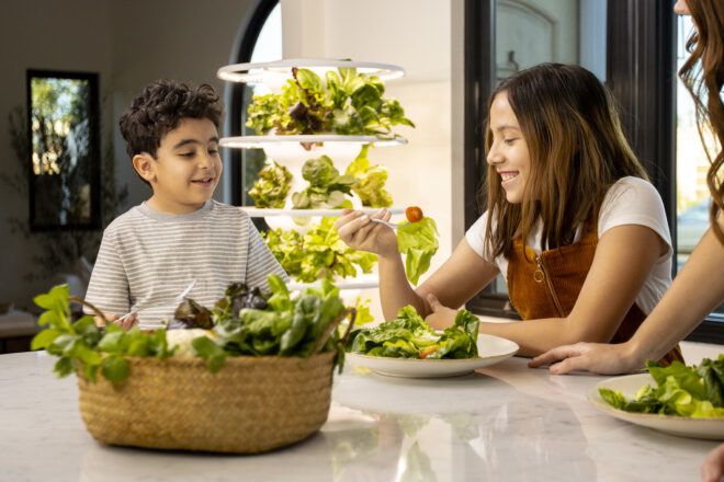 A Lettuce Grow sits in the background of two kids eating a salad at a table