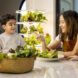 A Lettuce Grow sits in the background of two kids eating a salad at a table