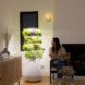 A Lettuce Grow vertical planter sits besides a woman sitting and looking at it