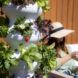 A vertical plant grower sitting in front of a woman wearing a summer hat and reading a book