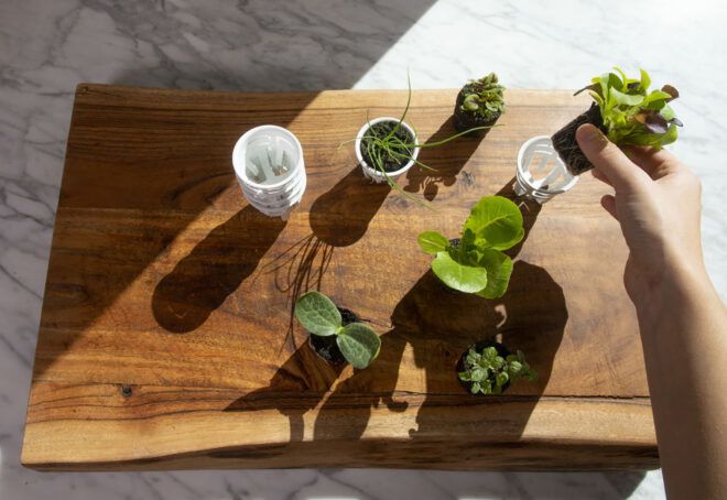 A wooden cutting board with a variety of herbs