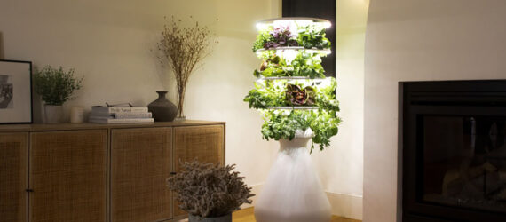 A vertical plant grower in a house
