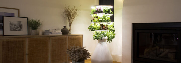 A vertical plant grower in a house