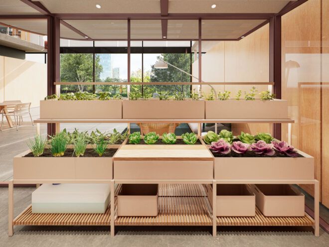 Fresh vegetables growing in the hydroponic garden
