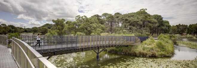 A lily-filled body of water under the bridge