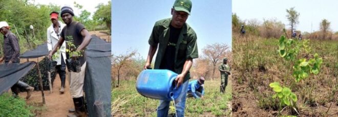 Three images from left to right: People gardening with a wheelbarrow, a man holds a blue container in his hands standing in a field, a flower in a field
