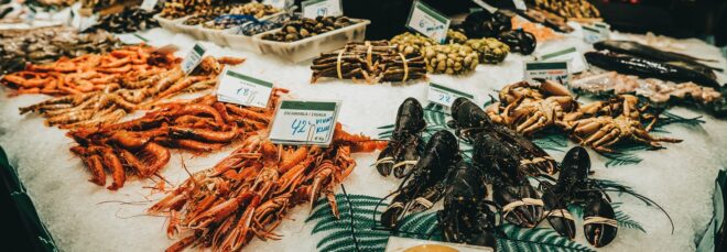 Various seafood, lobster, crab, shrimp all laid out on ice