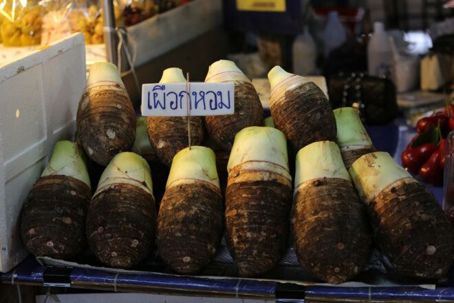 Taro root sold in rows with a sign written in Thai
